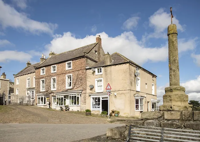 Jenny Wren Middleham