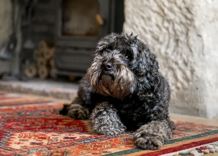 Casa vacanze Jenny Wren